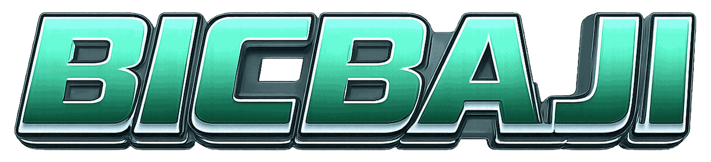 BigBaji Logo